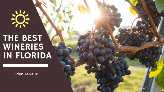 The Best Wineries in Florida